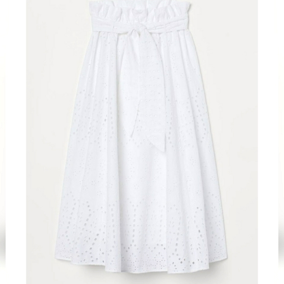 Eyelet Embroidery Skirt - Picture 1 of 9